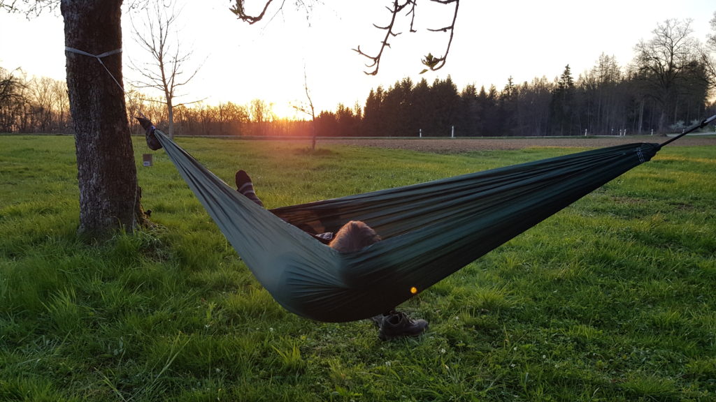 Wie du die geheime Kraft der Gedanken für mehr Erfüllung in deinem Leben nutzen kannst 2 onlinetraining gedanken